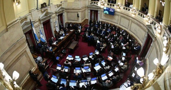 Proponen que senadores donen sus aumentos de dieta al Hospital Garrahan