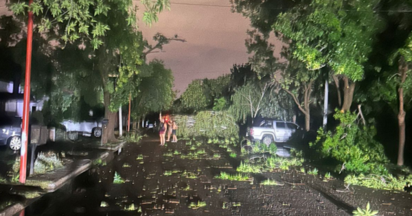 Fuerte temporal causó estragos en Cipolletti y el Alto Valle: postes caídos y barrios aislados