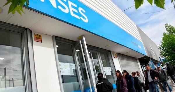 Historia laboral en ANSES: Descubrí cómo acceder a ella de forma ágil Historia laboral en ANSES: Descubrí cómo acceder a ella de forma ágil