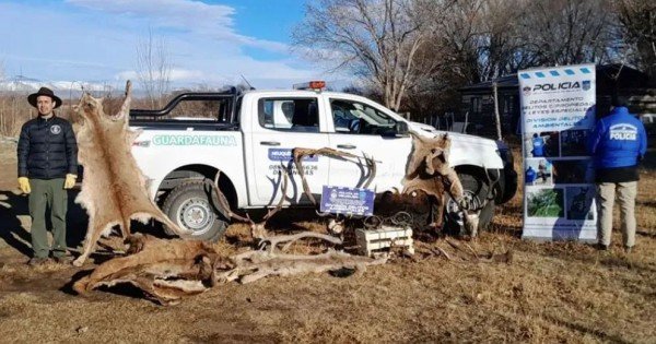 Desarmaron un grupo de cazadores furtivos: qué tenencias encontraron