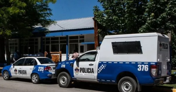Ladrón serial en San Martín de Los Andes: 15 delitos en 9 meses y terminó preso