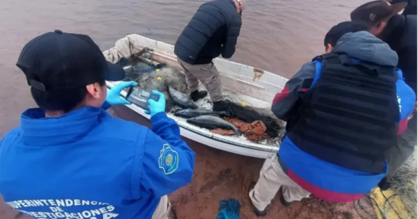 Operativos en Neuquén detectan pesca ilegal y daños en áreas protegidas