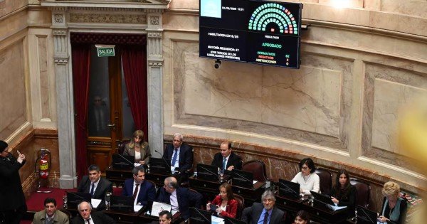 El Senado rechazó el veto de Milei y reactivó la ley de emergencia en discapacidad El Senado rechazó el veto de Milei y reactivó la ley de emergencia en discapacidad