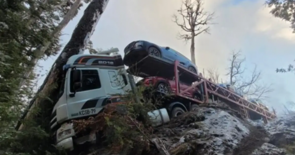 En plena nevada: un camión que transportaba autos perdió el control sobre la Ruta 231 En plena nevada: un camión que transportaba autos perdió el control sobre la Ruta 231