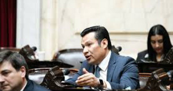 Diputados neuquinos enfrentados por los vetos de Milei: elogios, chicanas y silencios