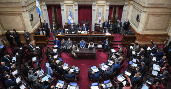 El Senado avanzó con el proyecto para limitar los DNU: ahora define Diputados