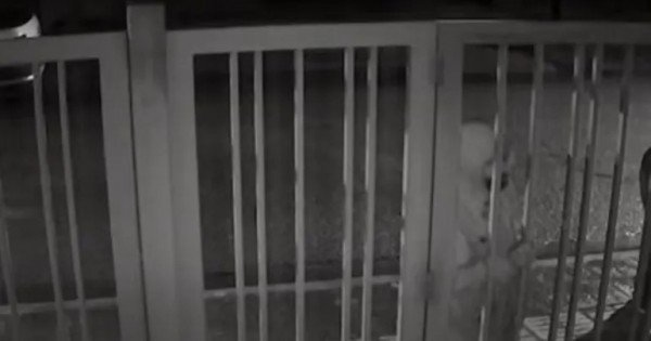 Vecinos de Santa Genoveva denuncian intentos de robos durante la madrugada