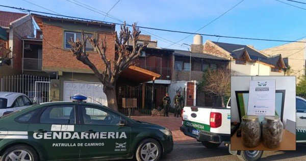 Detectan droga en encomiendas y hallan un vivero de marihuana en Neuquén Detectan droga en encomiendas y hallan un vivero de marihuana en Neuquén