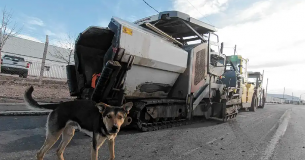 Con una nueva salida a la Autovía Norte, comienzan los festejos por el aniversario 121° de Neuquén