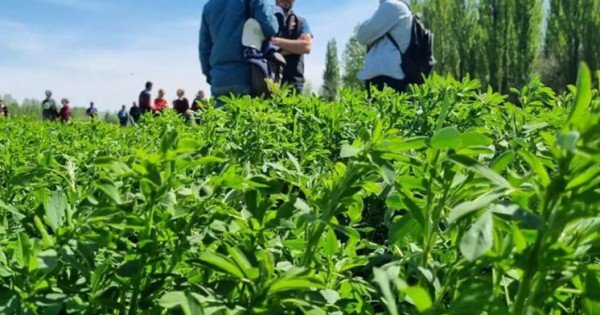 Créditos blandos en Neuquén para productores afectados por la sequía Créditos blandos en Neuquén para productores afectados por la sequía